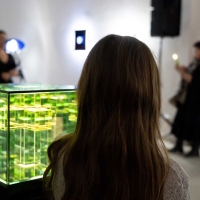 FENY   TORESEK Net 28